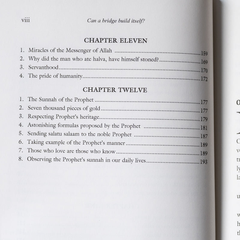 Can a Bridge Build Itself?: Essays on Belief and Moral Values