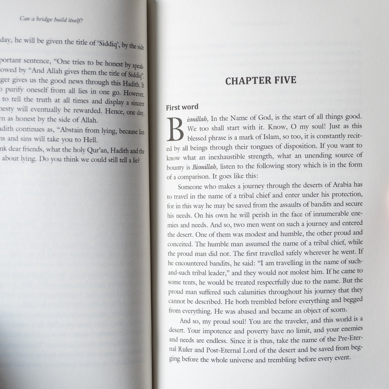 Can a Bridge Build Itself?: Essays on Belief and Moral Values