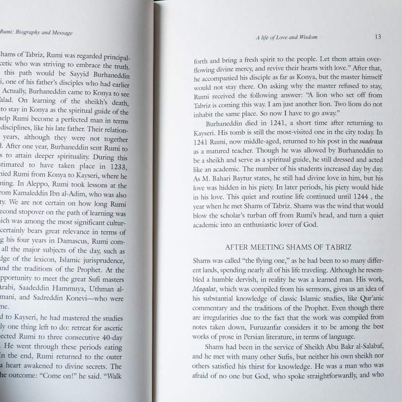 Rumi: Biography and Message