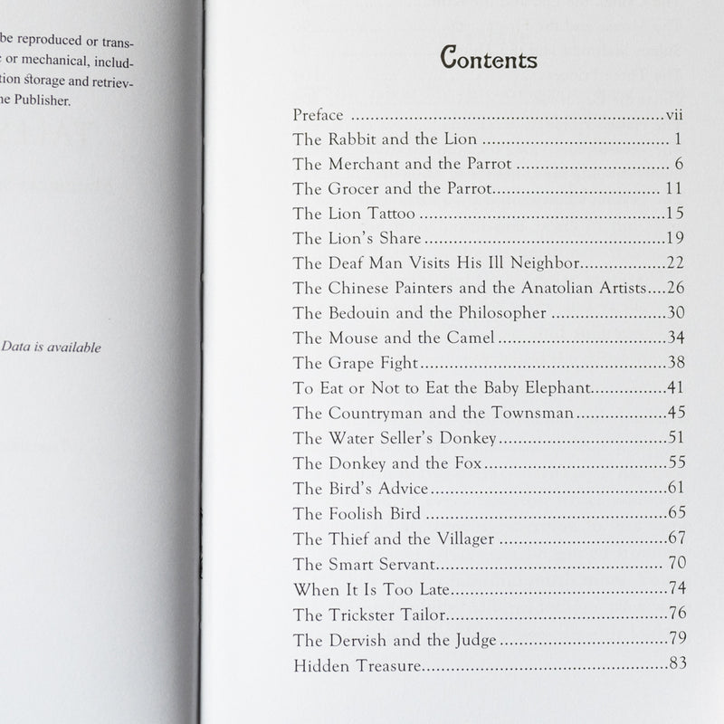 Tales From Rumi: Mathnawi Selections for Young Readers