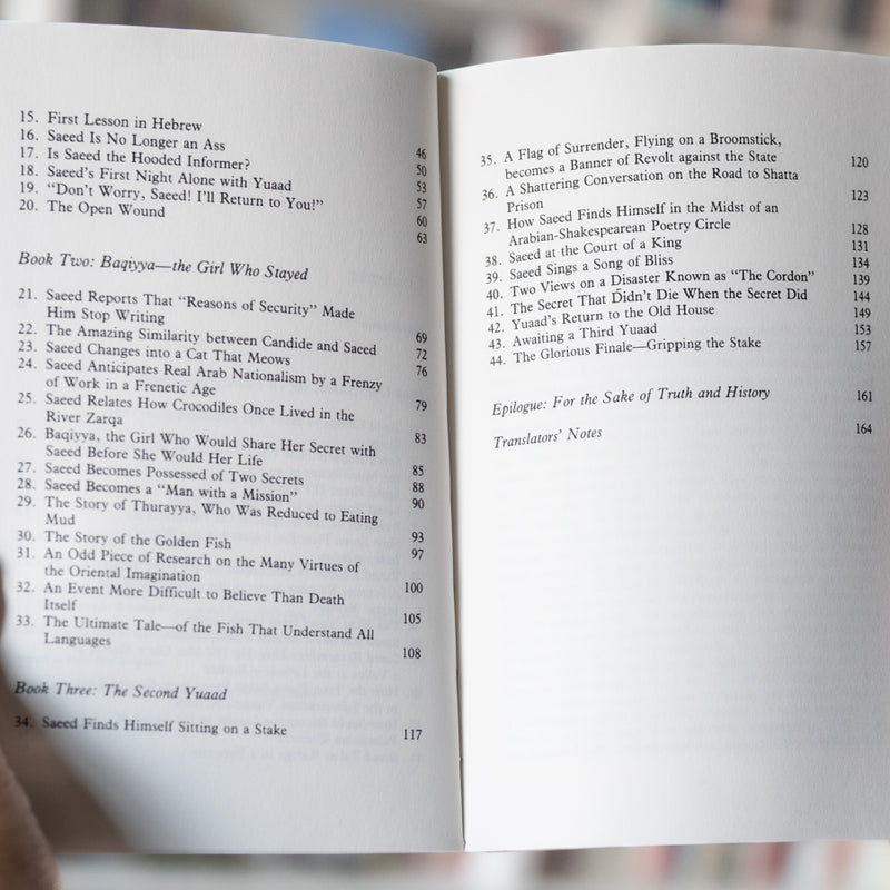 The Secret Life of Saeed the Pessoptimist