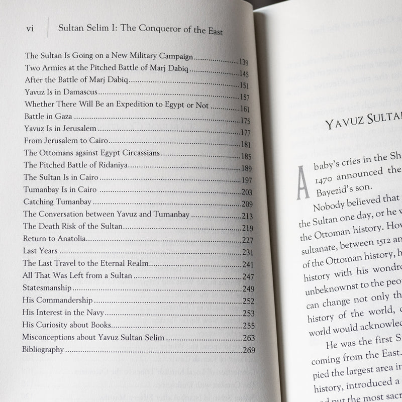 Sultan Selim I: The Conqueror of the East