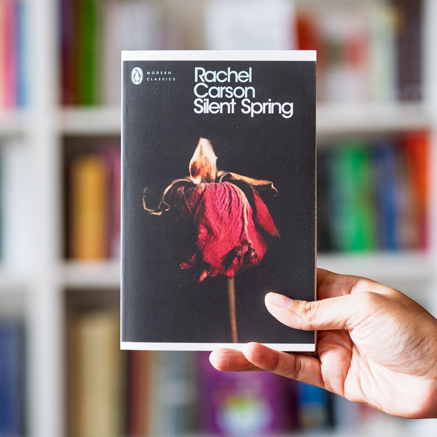 Silent Spring — Wardah Books