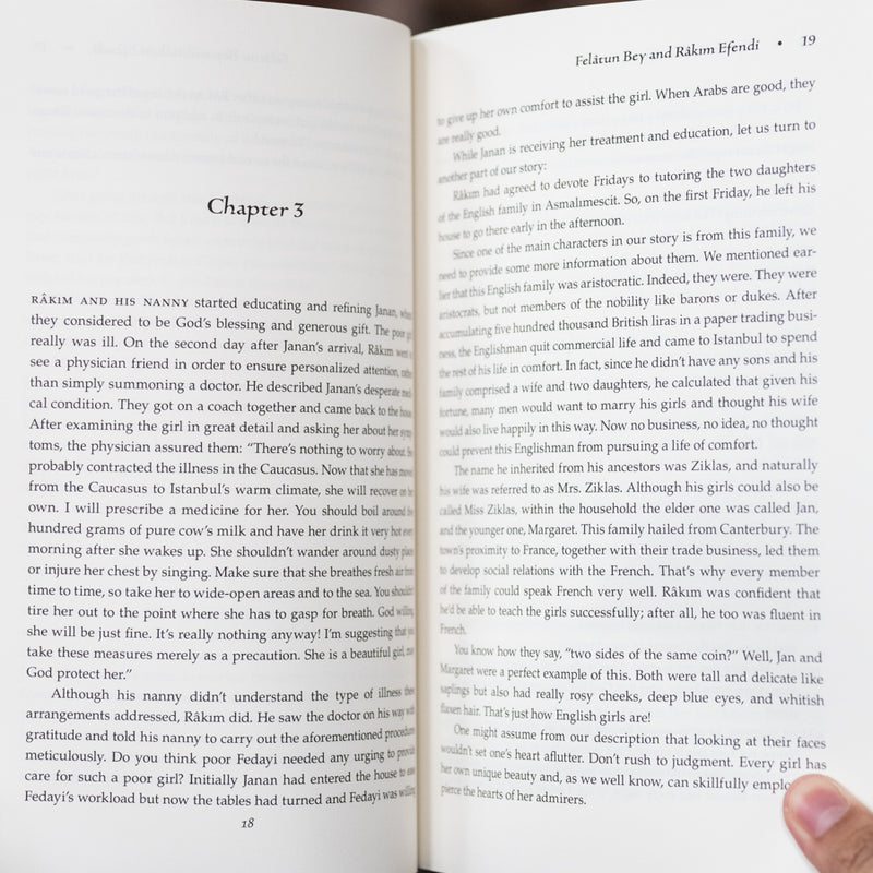 Felatun Bey and Rakim Efendi: An Ottoman Novel