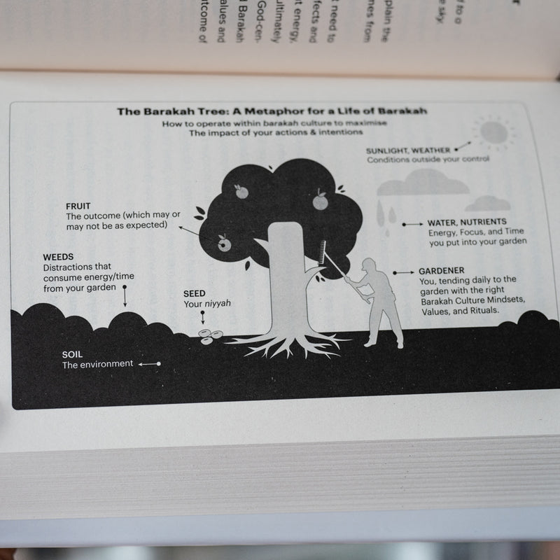 The Barakah Effect: More With Less