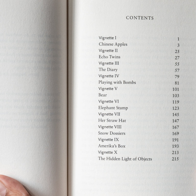 The Hidden Light of Objects