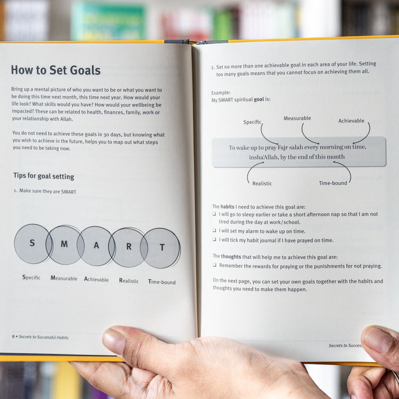 Secrets to Successful Habits Journal