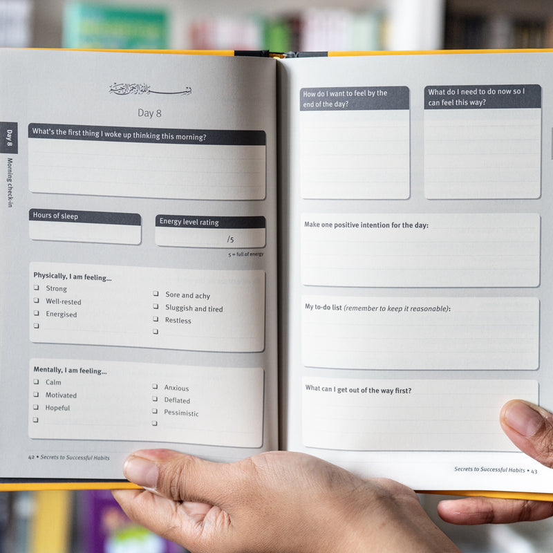 Secrets to Successful Habits Journal