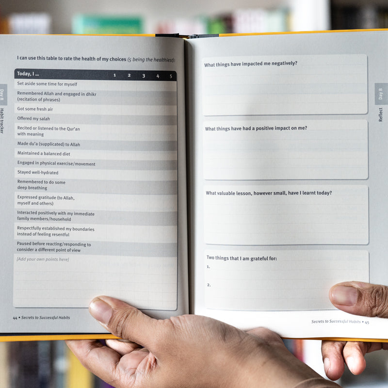 Secrets to Successful Habits Journal