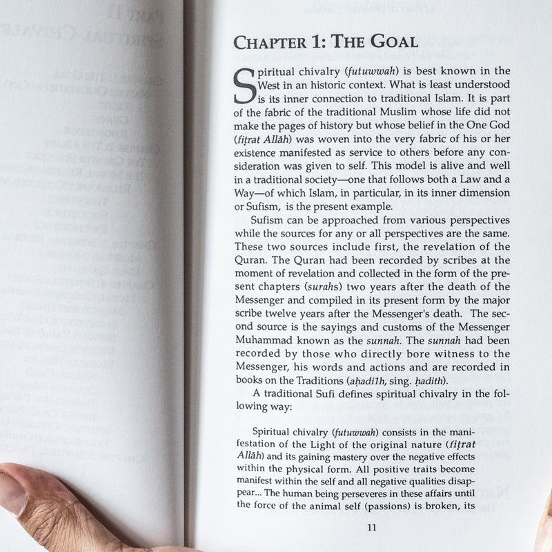 Moral Healer's Handbook - the Psychology of Spiritual Chivalry