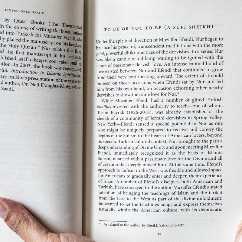 Living Open Space: The Interspiritual Journey of Lex Hixon