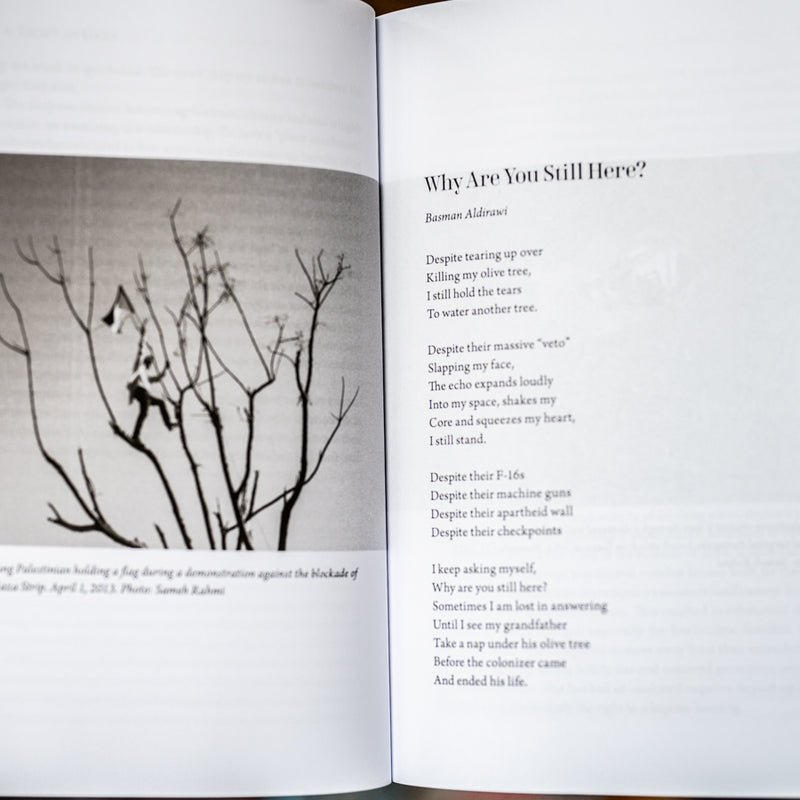 Light in Gaza: Writings Born of Fire