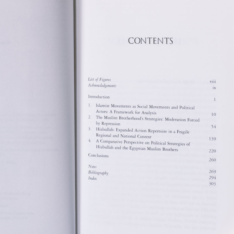 Power Struggles in the Middle East: The Islamist Politics of Hizbullah and the Muslim Brotherhood