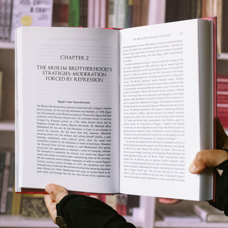 Power Struggles in the Middle East: The Islamist Politics of Hizbullah and the Muslim Brotherhood