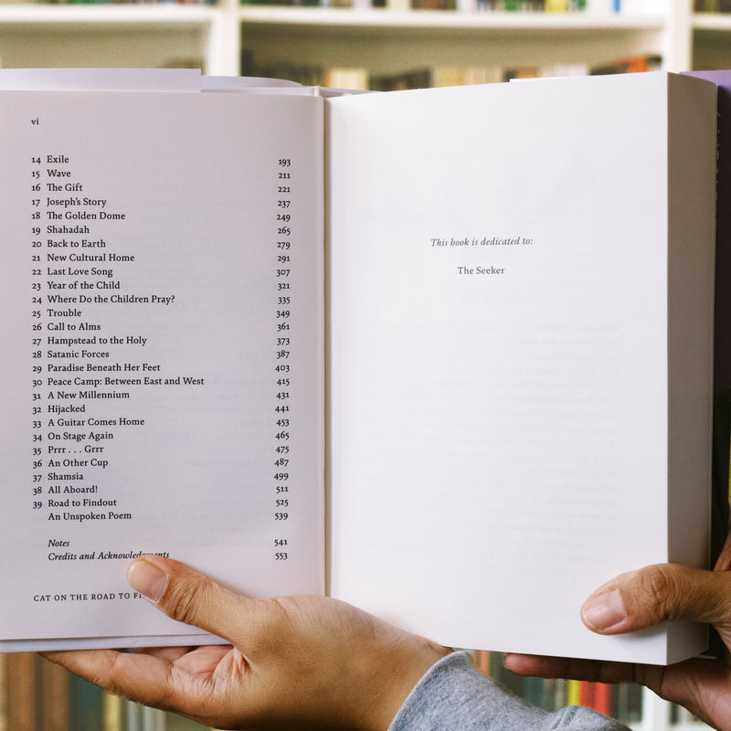 Cat On The Road To Findout