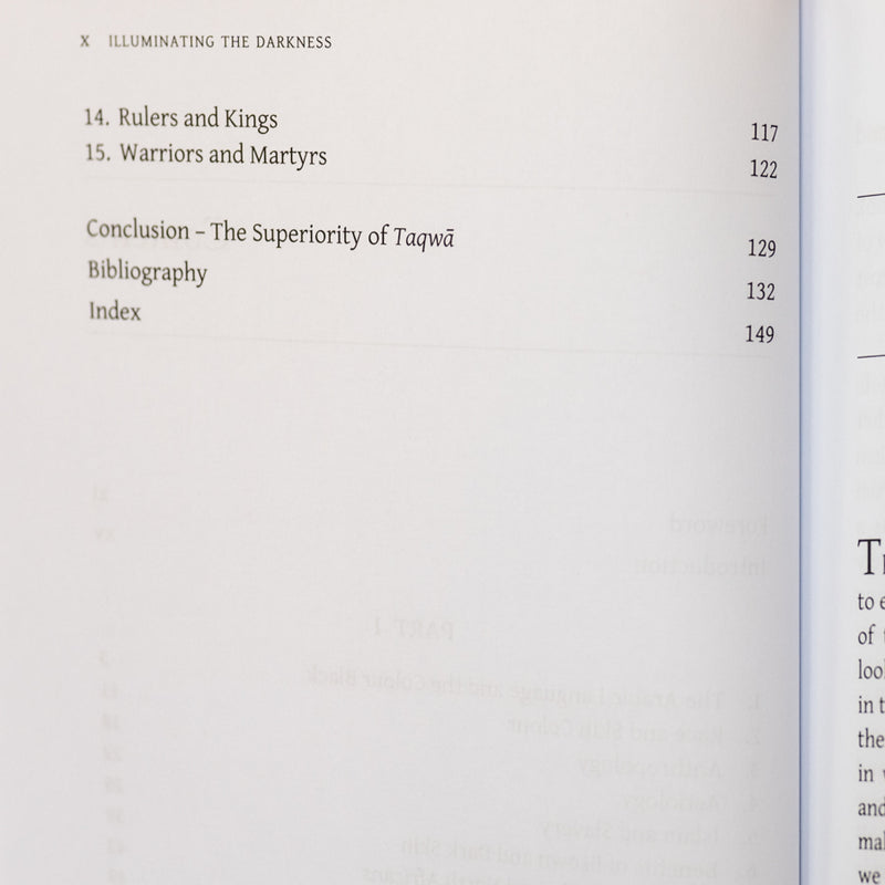 Illuminating the Darkness: Blacks and North Africans in Islam