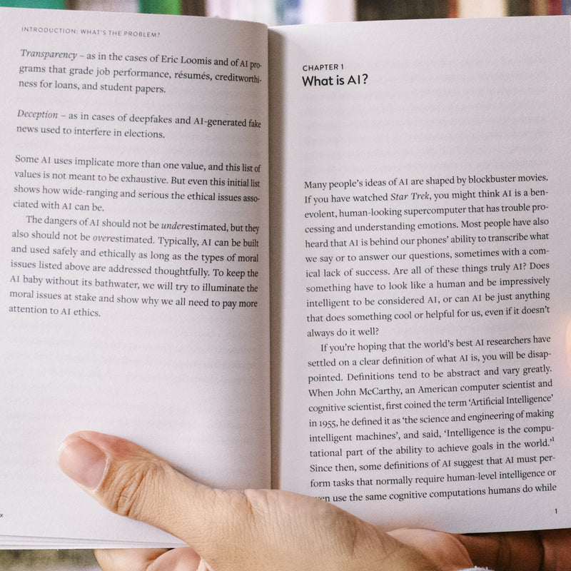 Moral AI: And How We Get There