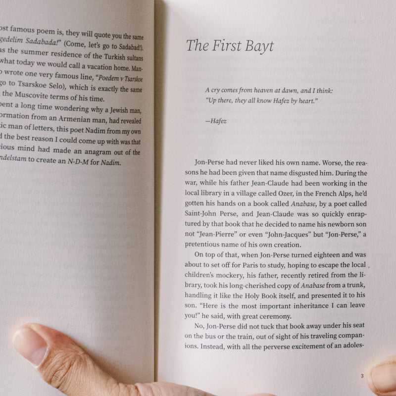 We Computers: A Ghazal Novel