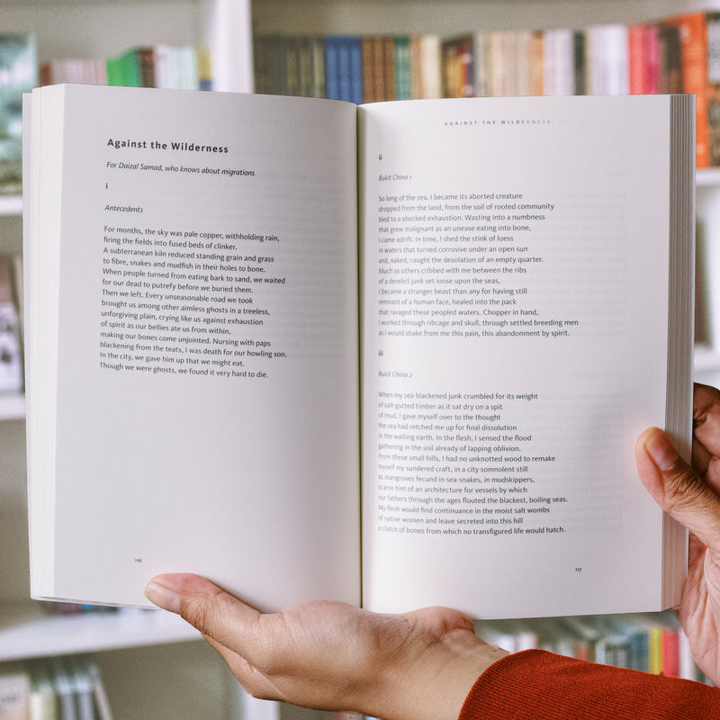 In the Mirror: New and Selected Poems of Wong Phui Nam