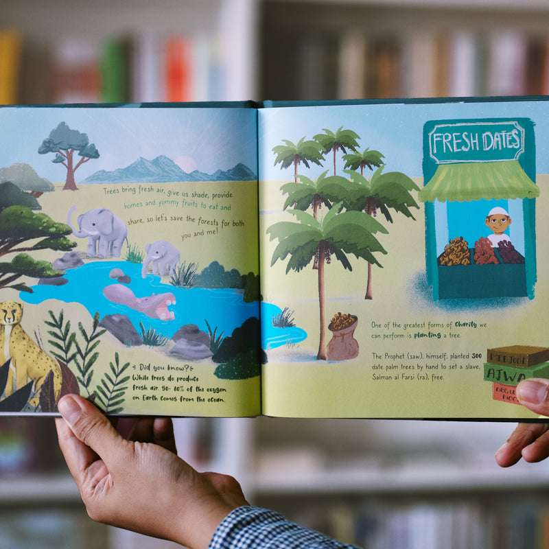 Environmental Sunnahs