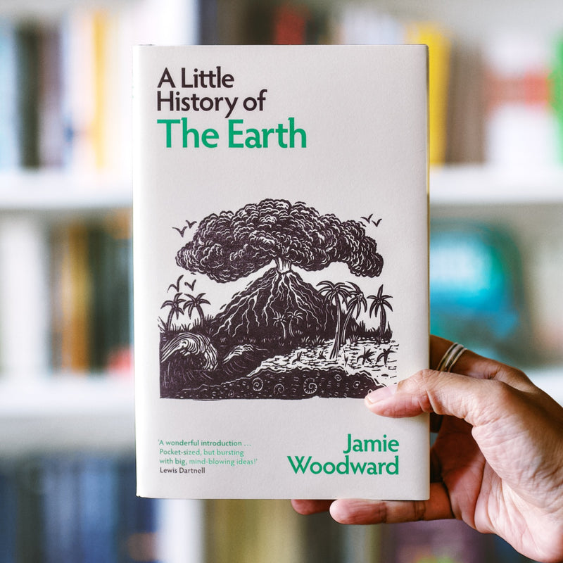 A Little History of the Earth