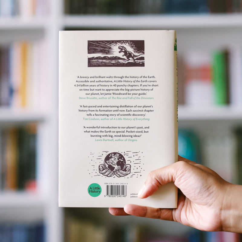 A Little History of the Earth