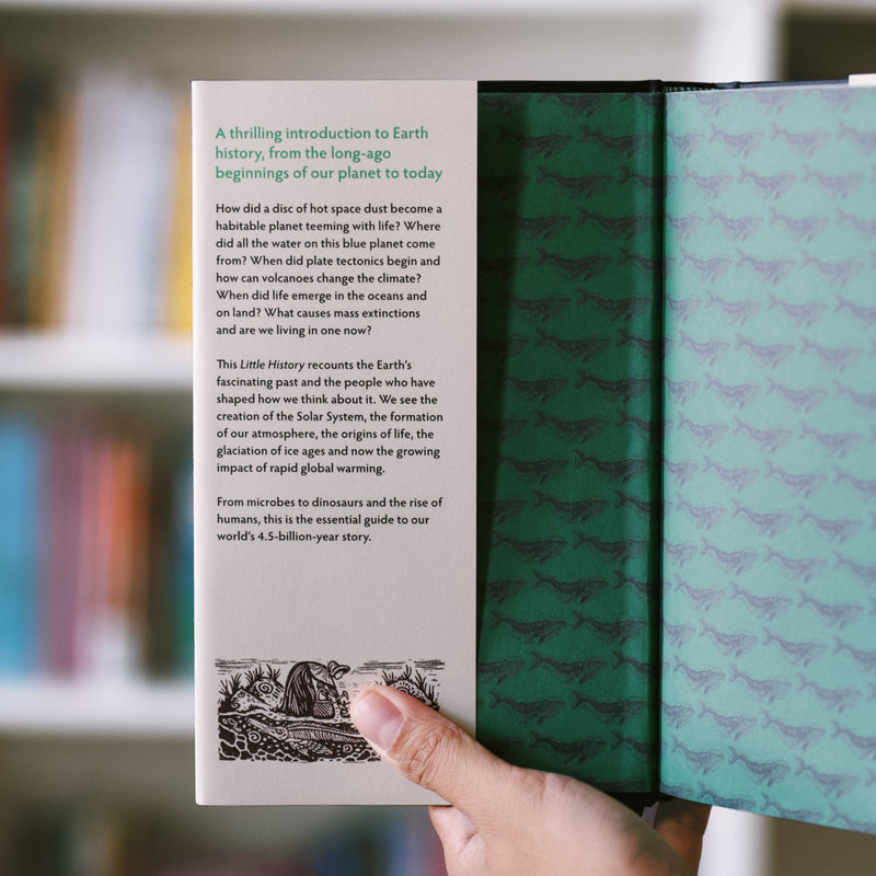 A Little History of the Earth