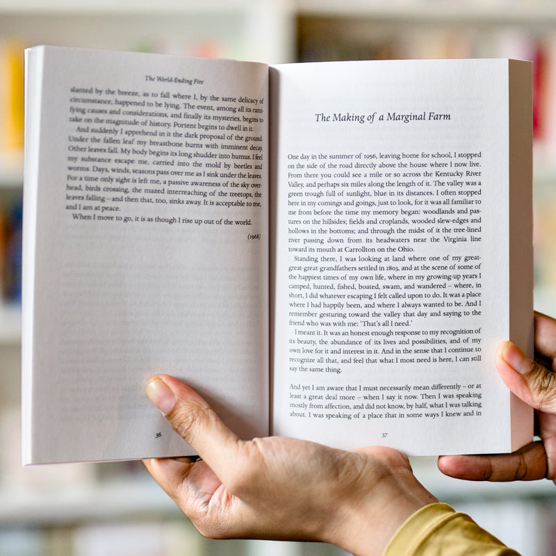 The World-Ending Fire