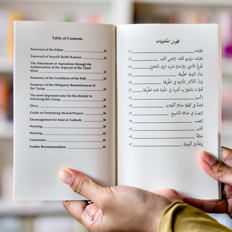 The Attainment of Aspirations