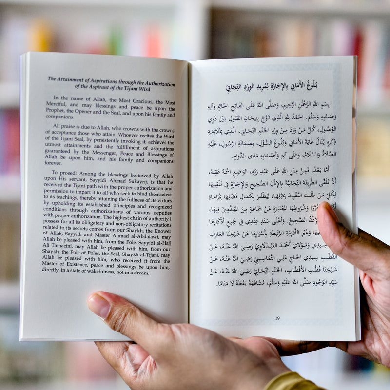 The Attainment of Aspirations