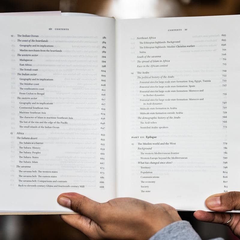 A History of the Muslim World: From Its Origins to the Dawn of Modernity