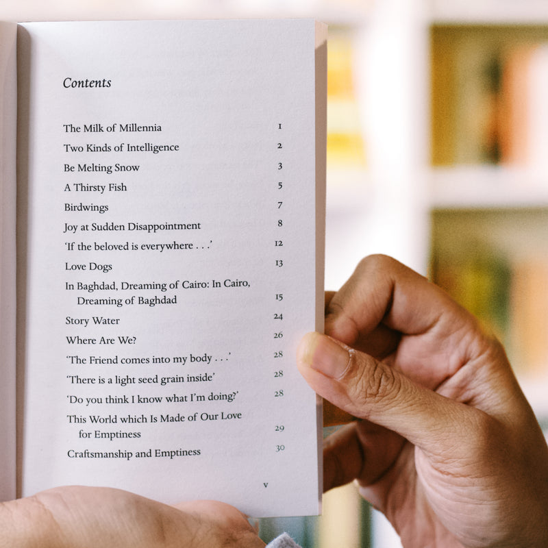 Where Everything is Music