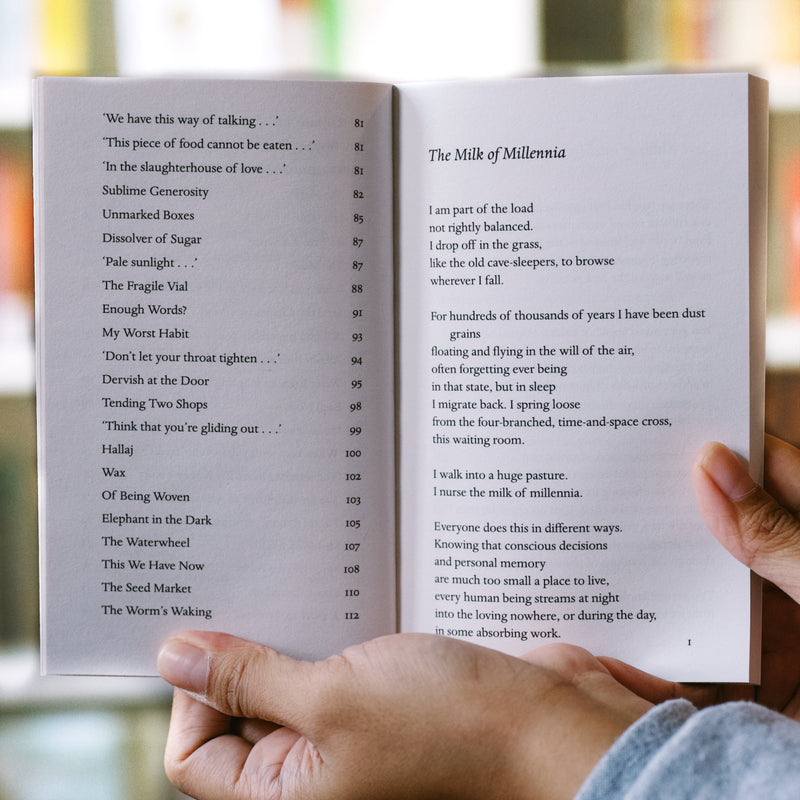 Where Everything is Music