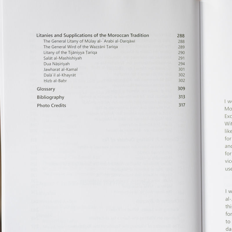 A Spiritual Guide to Fes