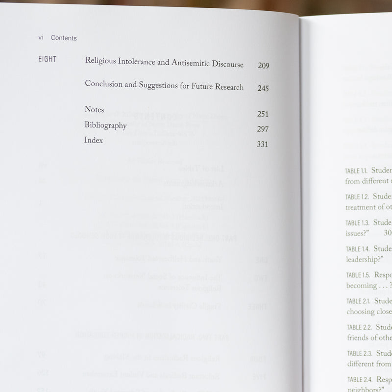 Youth, Education, and Islamic Radicalism