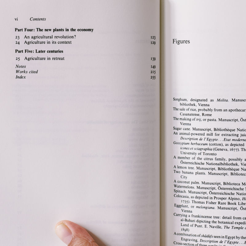 Agricultural Innovation in the Early Islamic World