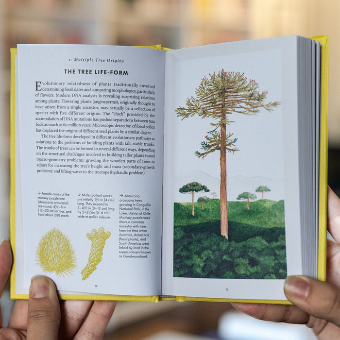 The Little Book of Trees