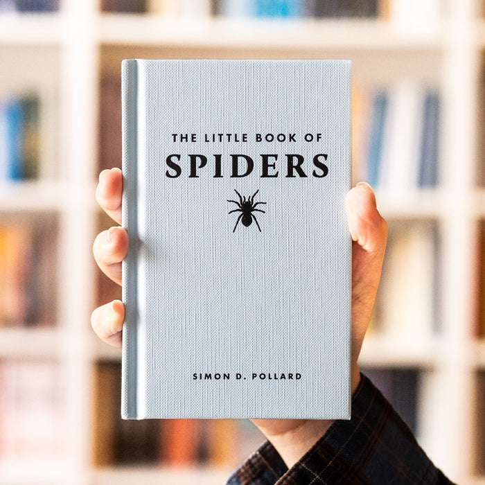 The Little Book of Spiders