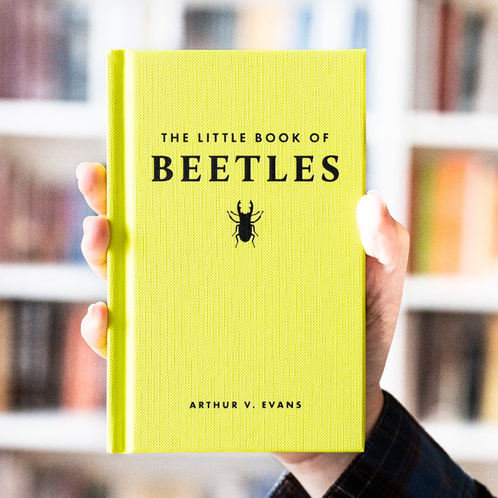 The Little Book of Beetles