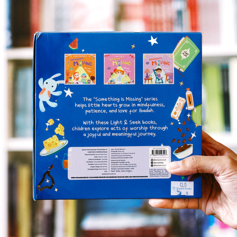 Something Is Missing - Board Book Set