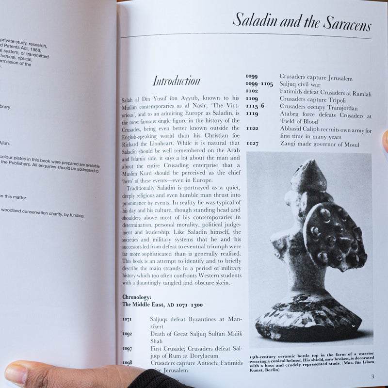 Saladin and the Saracens