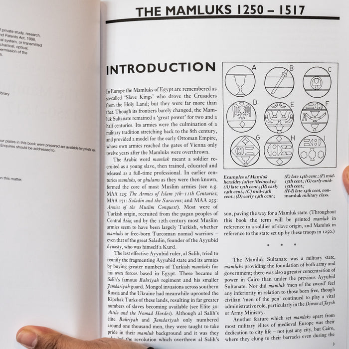 The Mamluks 1250–1517