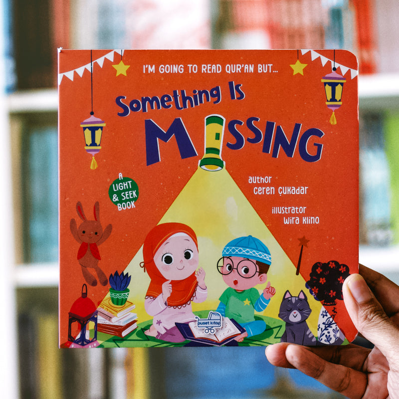 Something Is Missing - Board Book Set