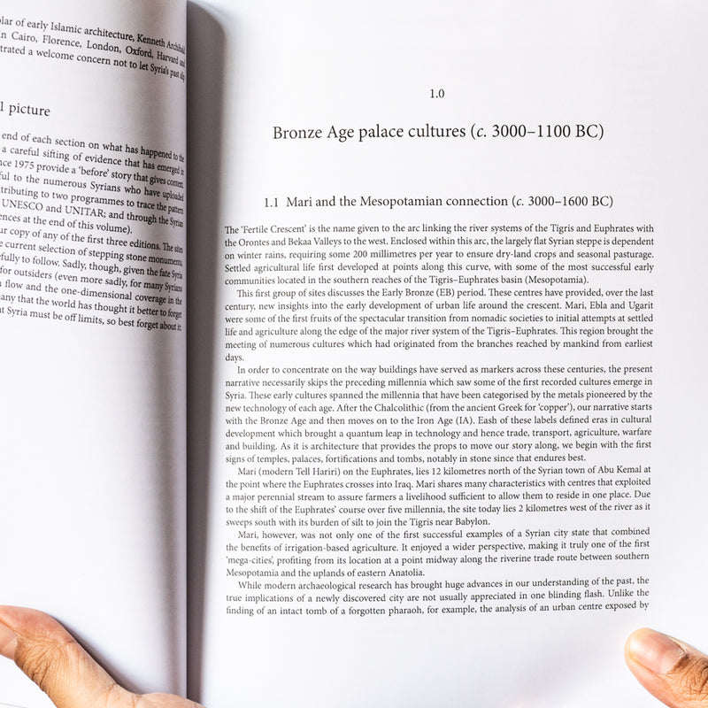 Understanding Syria through 40 Monuments