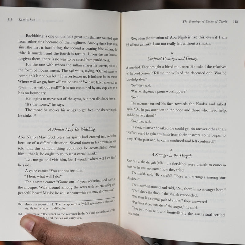 Rumi's Sun: The Teachings of Shams of Tabriz