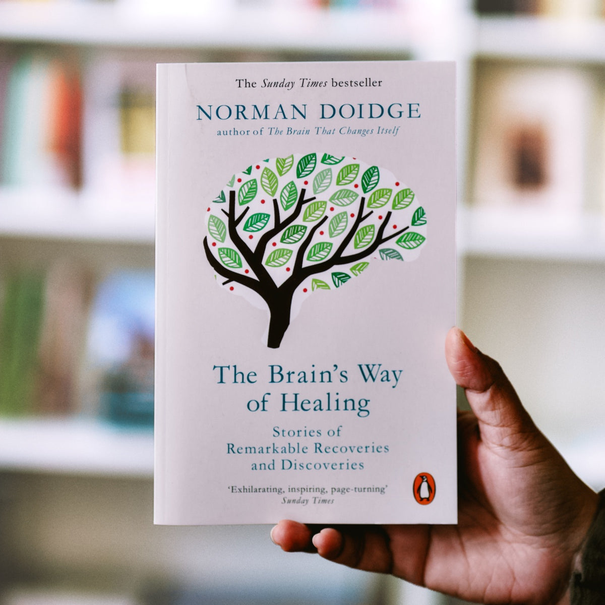 The Brain's Way of Healing — Wardah Books