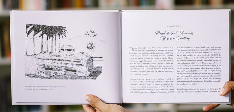 The Past Is Our Home