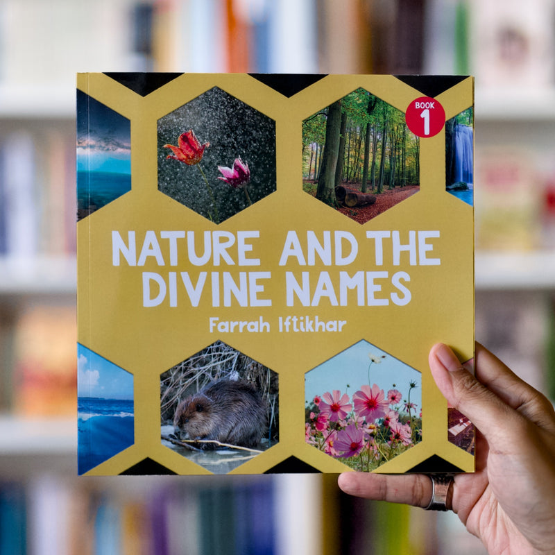 Nature and the Divine Names