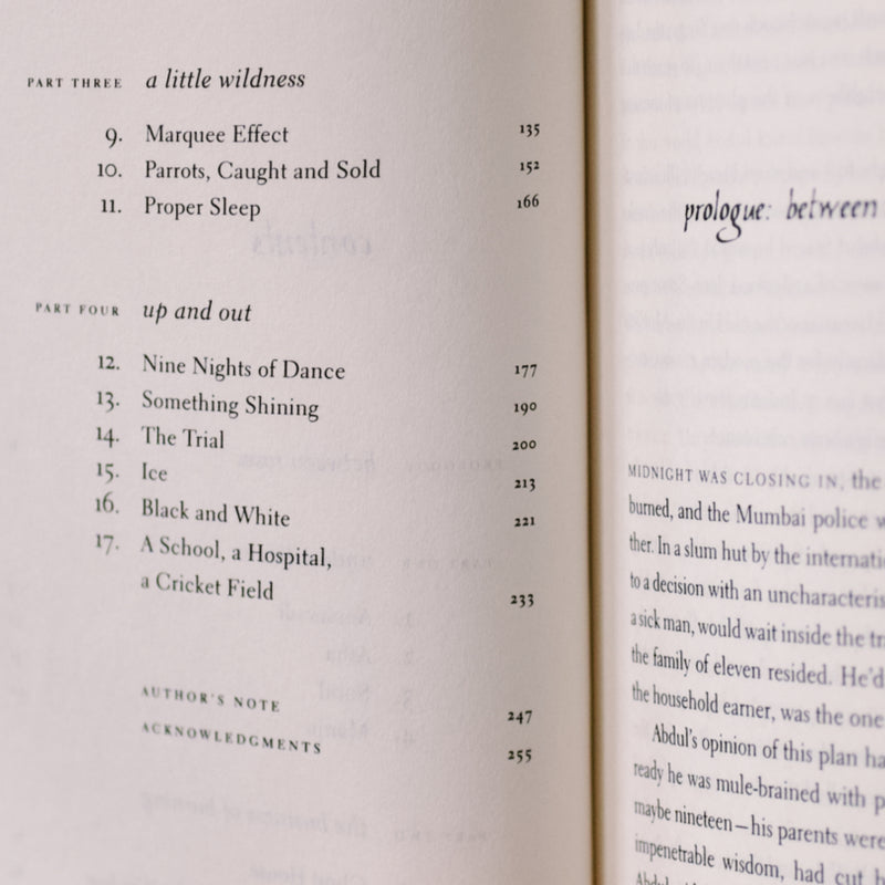 Behind the Beautiful Forevers