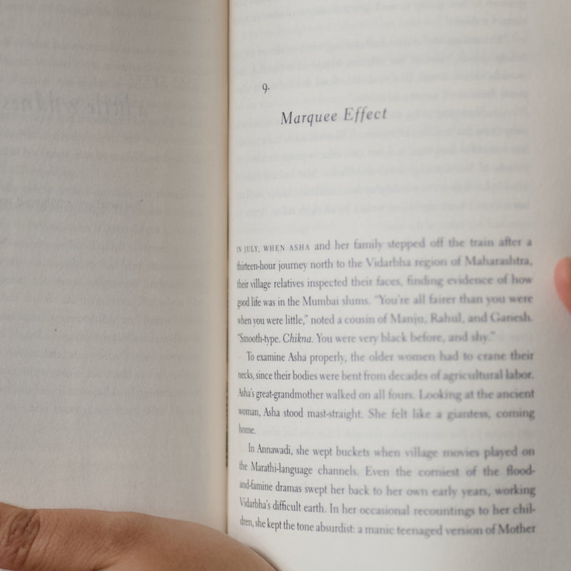 Behind the Beautiful Forevers